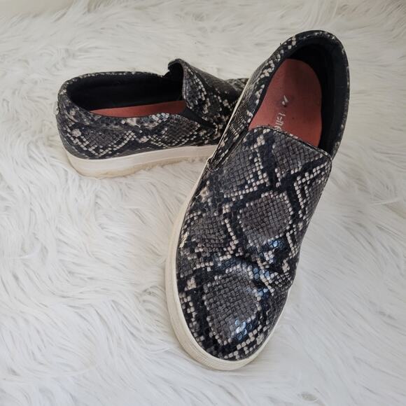 Steve Madden Gills Snake Skin Slip-On Platform Sneakers Size 8.5 - Picture 1 of 11